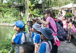 Education Enrichment Programs for Singapore Kids